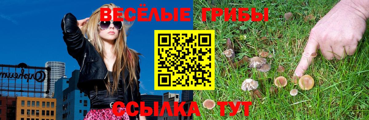 Псилоцибиновые грибы Psilocybe  Псилоцибиновые грибы мицелий  Вход с VPN  Шарыпово 